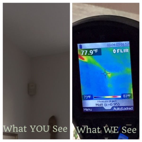 Mold Inspections & Thermal Imaging