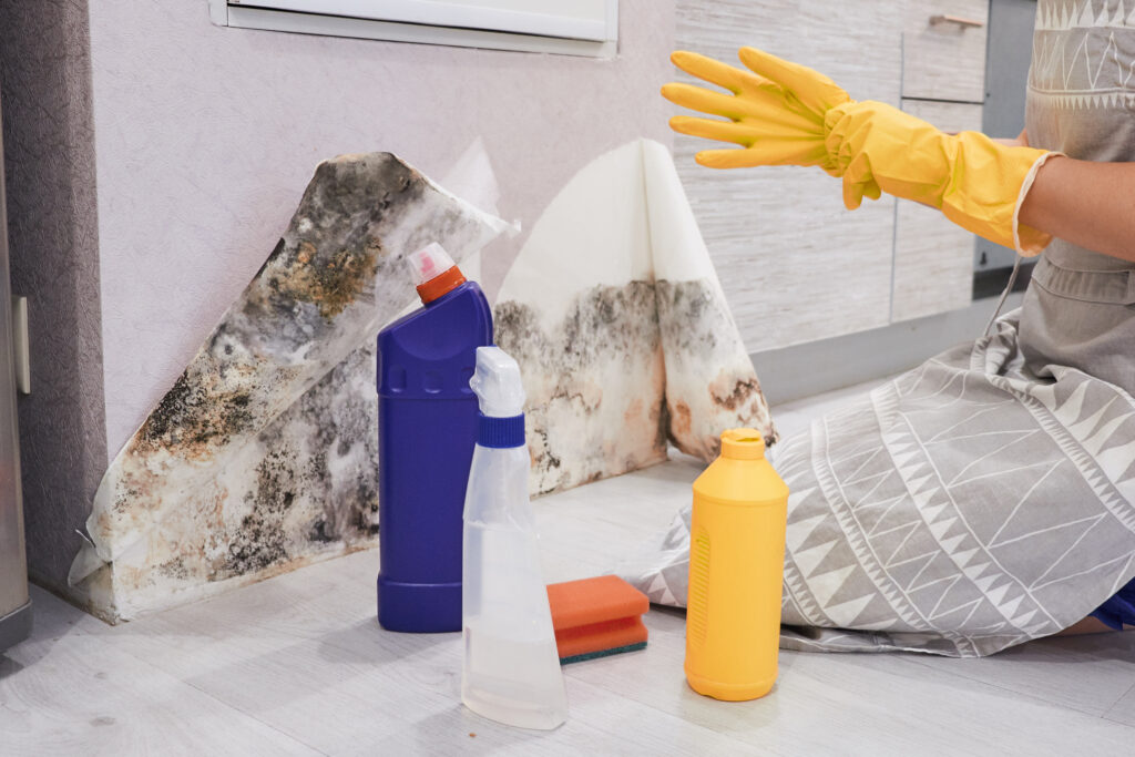 Breathe Easy: The Ultimate Guide to Mold Testing in West Palm Beach Homes You Can’t Miss